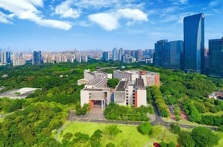 久久久91精品国产免费观看