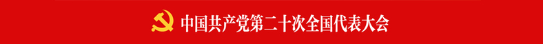 二十大图片